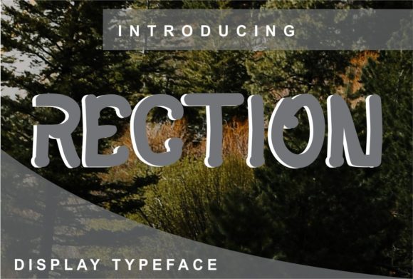 Rection: A Dynamic Display Font for Modern Marketing Visuals